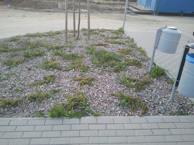 20140410_191322.jpg