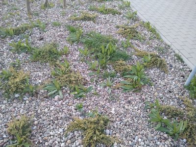 20140410_191336.jpg