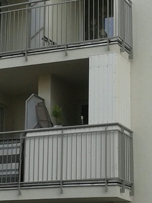 Ktoś może ogarnia zjawisko w bloku nr 12?
