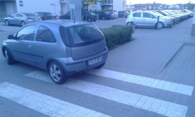 &quot;miszcz&quot;