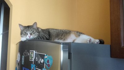 20170509_185039.jpg