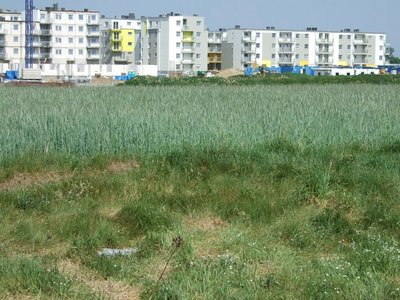 Widok osiedla od strony południowej